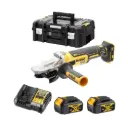 DeWALT DCG405FM2 18V XR Brushless 125 mm Cordless Angle Grinder with 2x4Ah Batt, Charger and Case